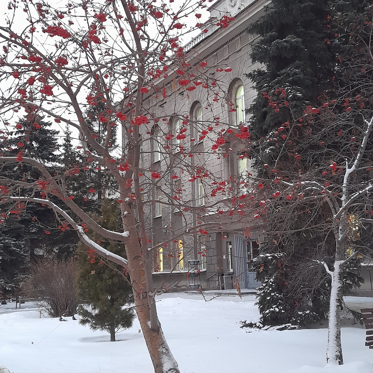 Фото автора.  На одной из прогулок