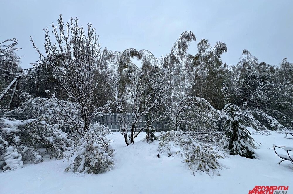    8 декабря люди ждали выпадение снега. Фото: АиФ/ Валерий Рукобратский