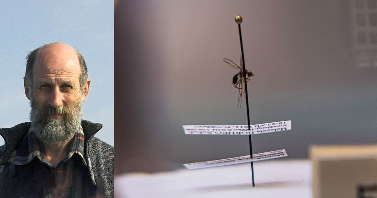 Зоологический музей МГУ и А. Савин / Википедия