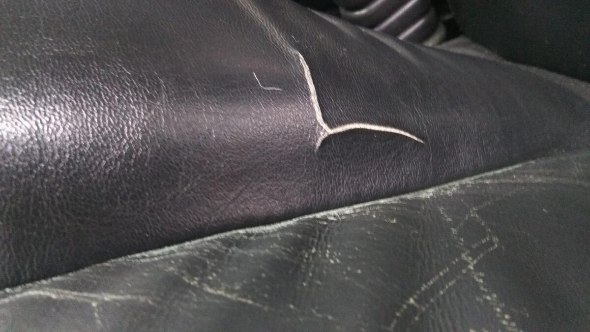 Вот так будет выглядеть твой кожаный экип, если не будешь за ним ухаживать.