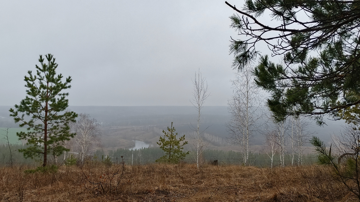Тот ноябрьский день, когда совершала свою очередную мусороуборочную прогулку 