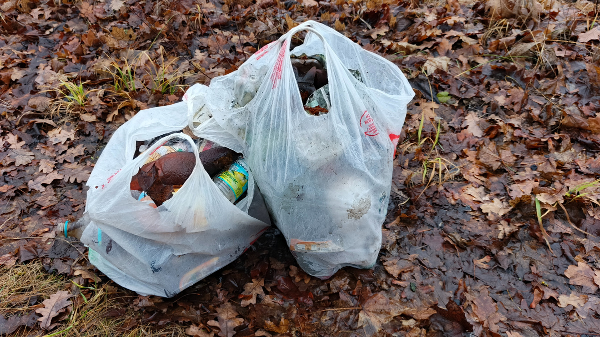 Мои два пакета, заполненные найденным мусором. Ноябрь 2025. Фото автора.