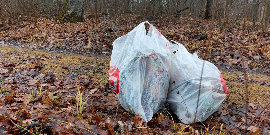 Хожу в лес собирать не грибы, а мусор