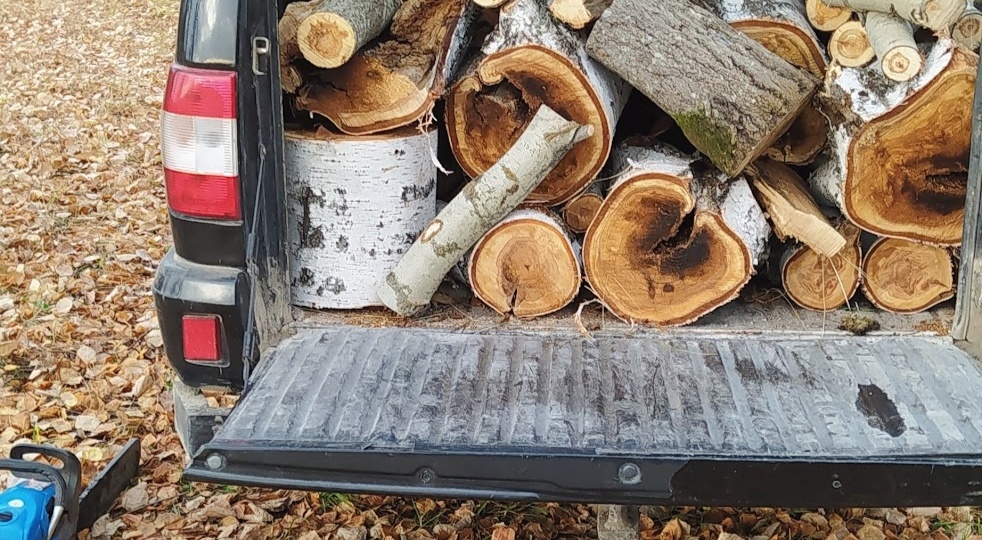 ## Как заготовить дрова в лесу и не получить штраф: практическое руководство