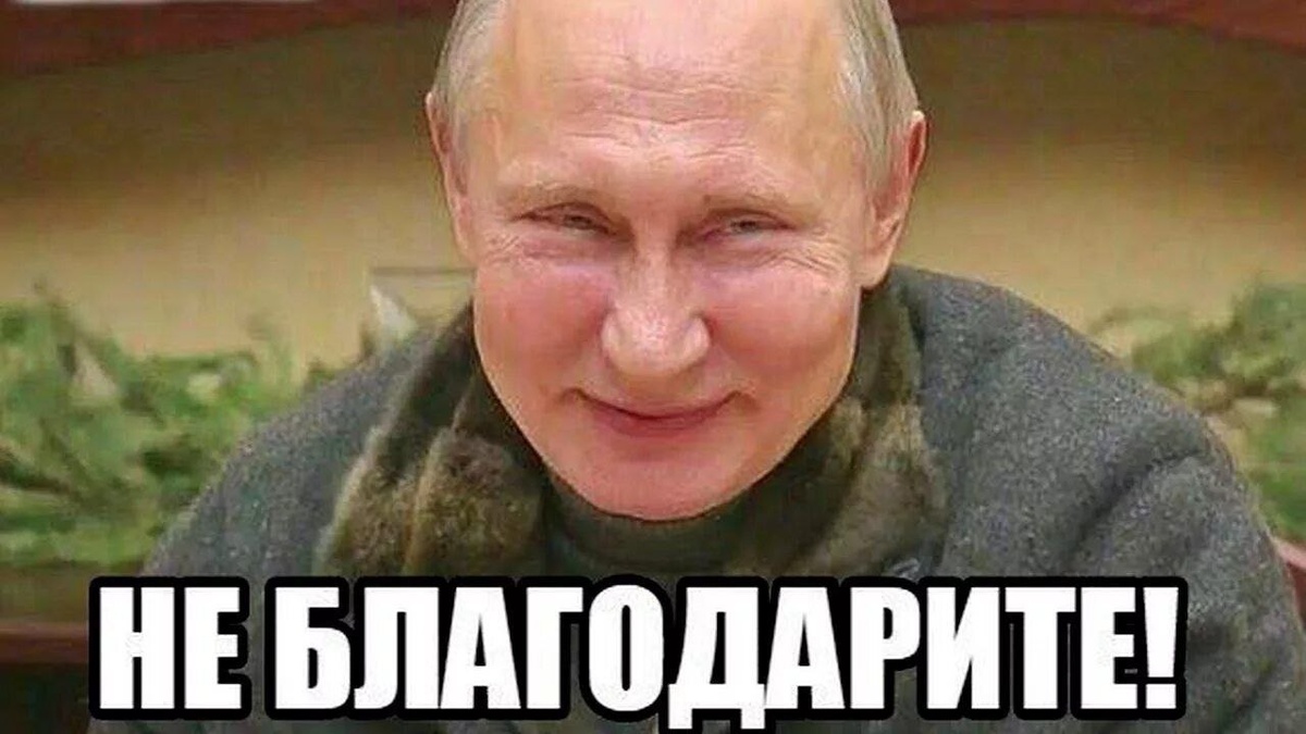 Фото из открытых источников 