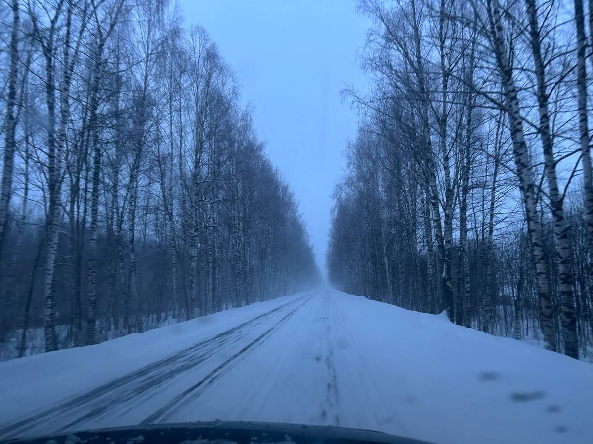 Заметает дороги