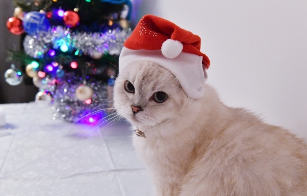 Фото: РИА Новости