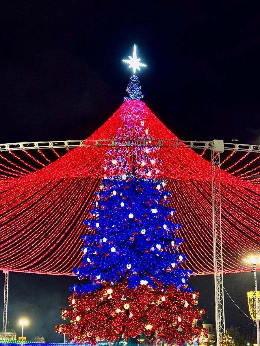 Патриотическая расцветка, которая дольше всего держится на нашей елочке