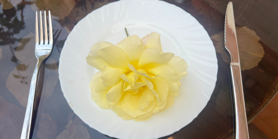 Кулинарные розы: как собрать собственную гастрономическую коллекцию в саду