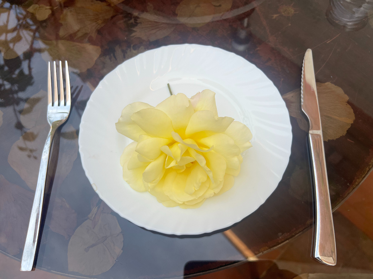 Фото: использование съедобных роз в кулинарии