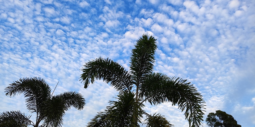 Дневник зимовки на острове Чанг. День 19: исследуем северные пляжи, немного лоханулись, нас покусали