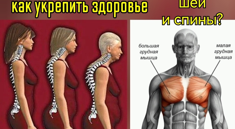 Вредные (но популярные) упражнения для шеи, спины, осанки. Как научиться делать полезные?