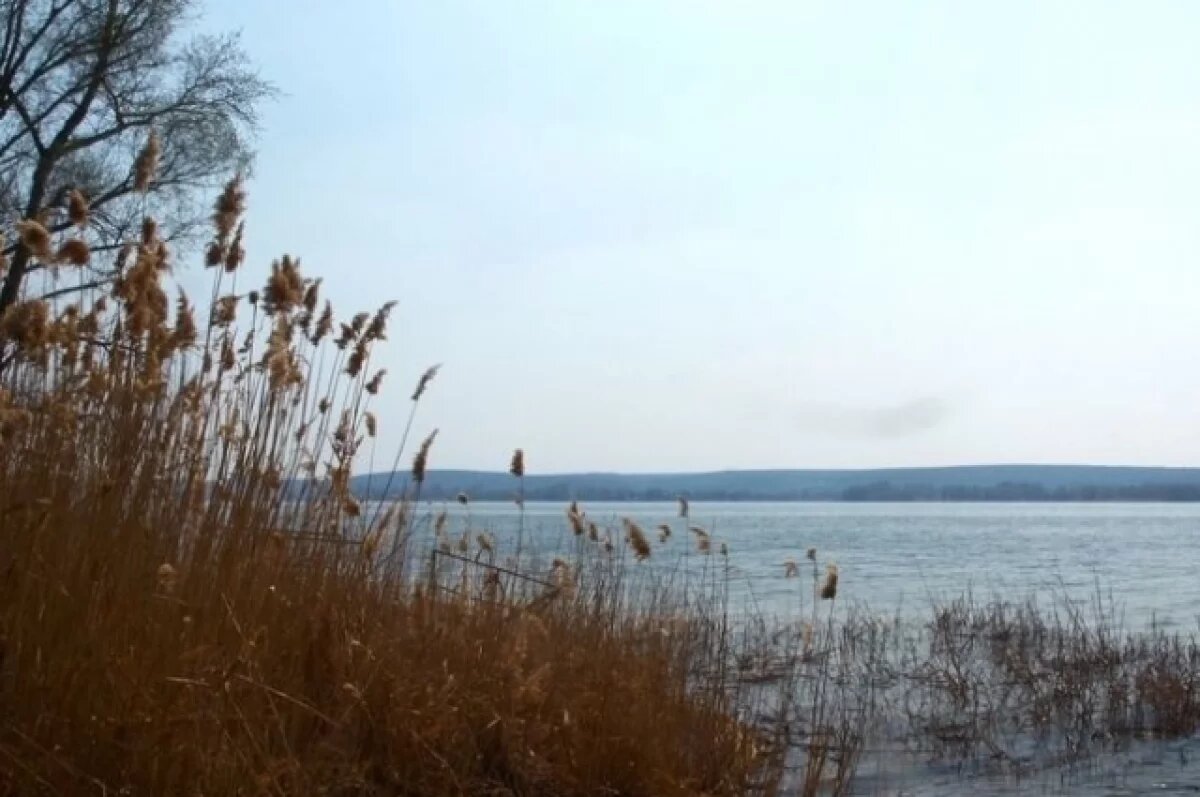    На Украине заявили о повреждении плотины в Харьковской области