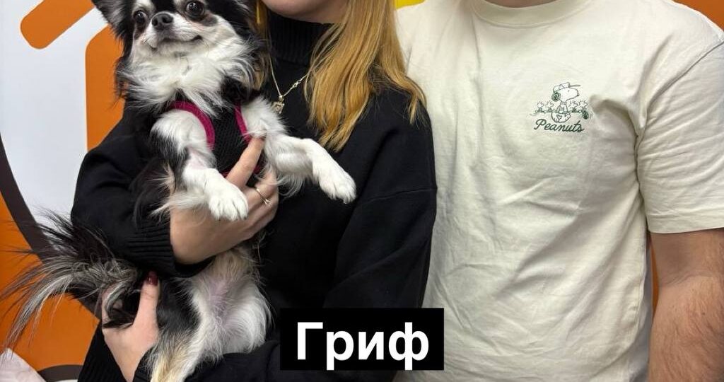 Рубрика Я ДОМОЙ! 10 счастливчиков нашли дом🐾