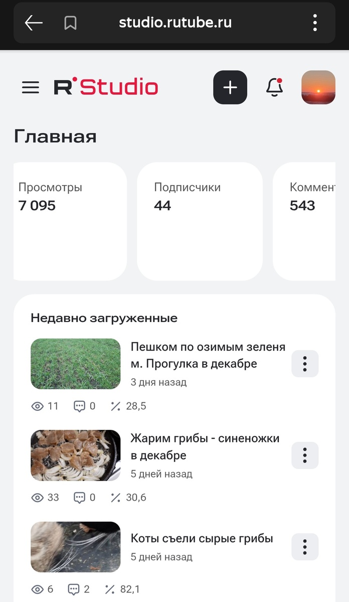 В студии показывают на одного подписчика меньше. Скриншот автора 