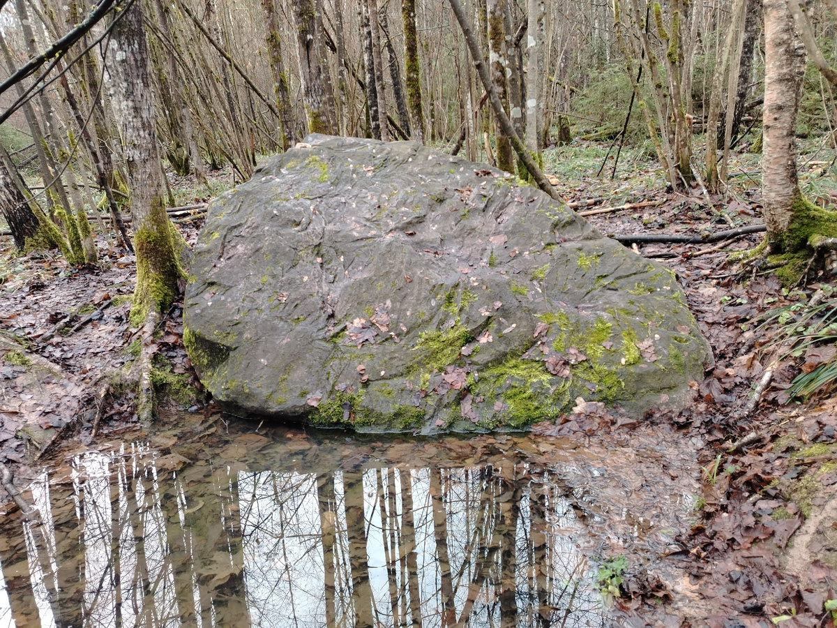 Камень, листаем