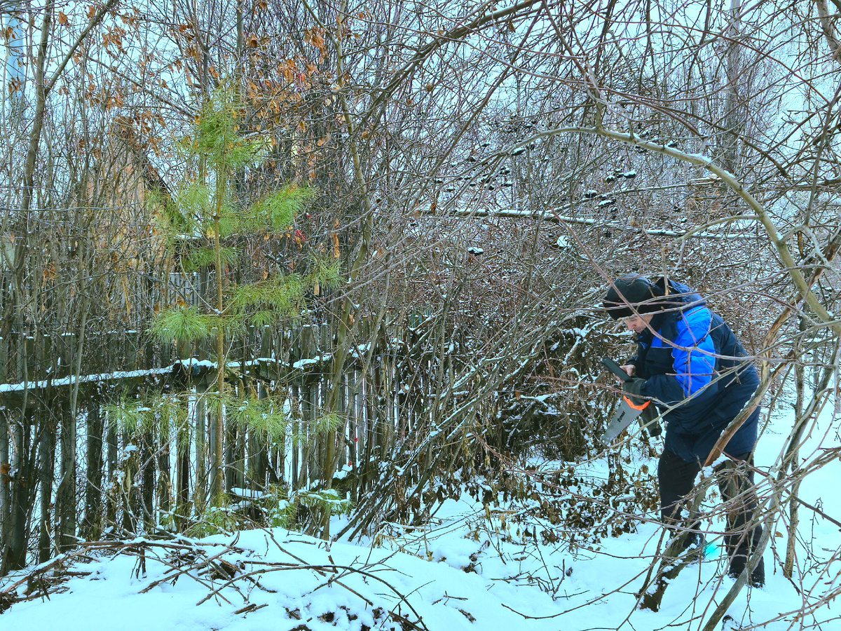 Фото: Марина Н. Макарова, Омск, 7дек25.