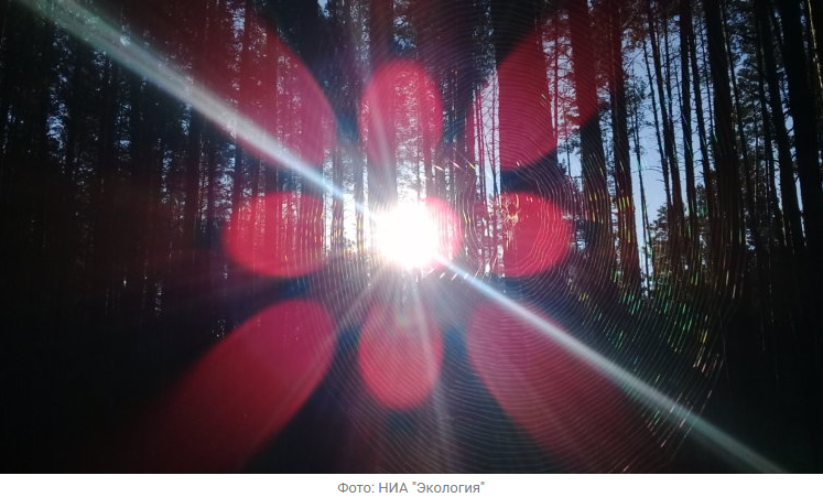 Источник новости: https://nia.eco/2025/11/25/109764/