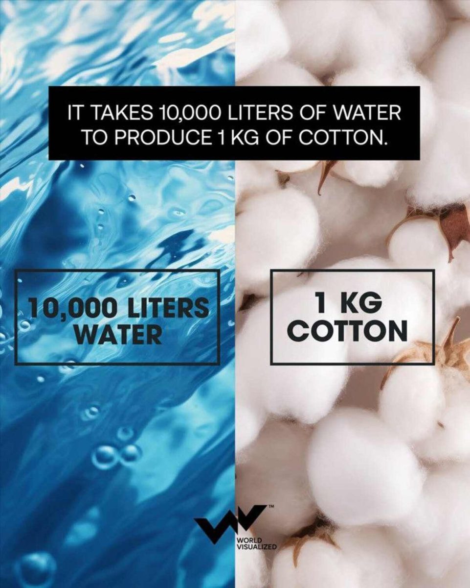    Невидимая вода: как ежедневная одежда потребляет мировые ресурсы / © World Visualized