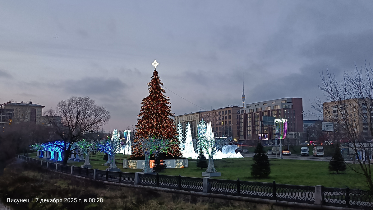 Фото автора 7.12.2025г.