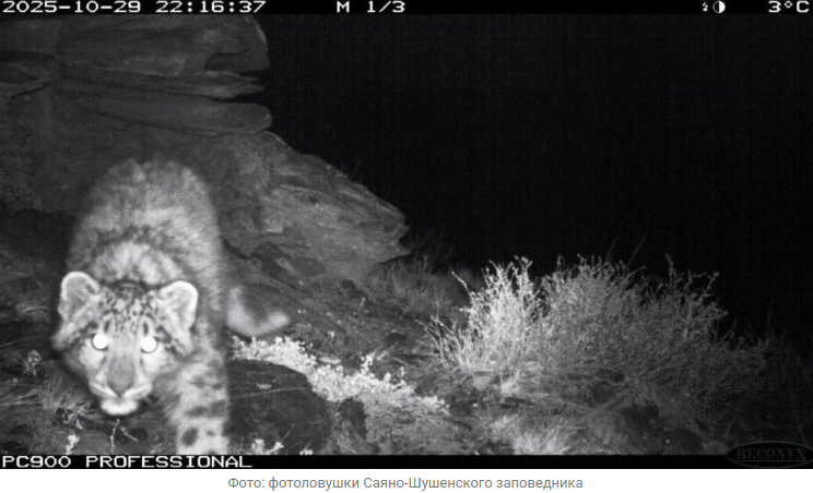 Источник новости: https://nia.eco/2025/12/03/109897/