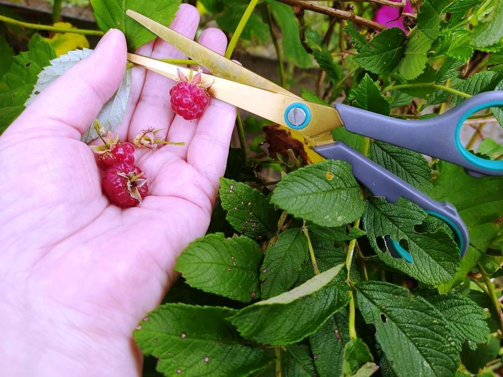 Я попробовала и мне такой метод сбора не понравился - очень медленно и неудобно
