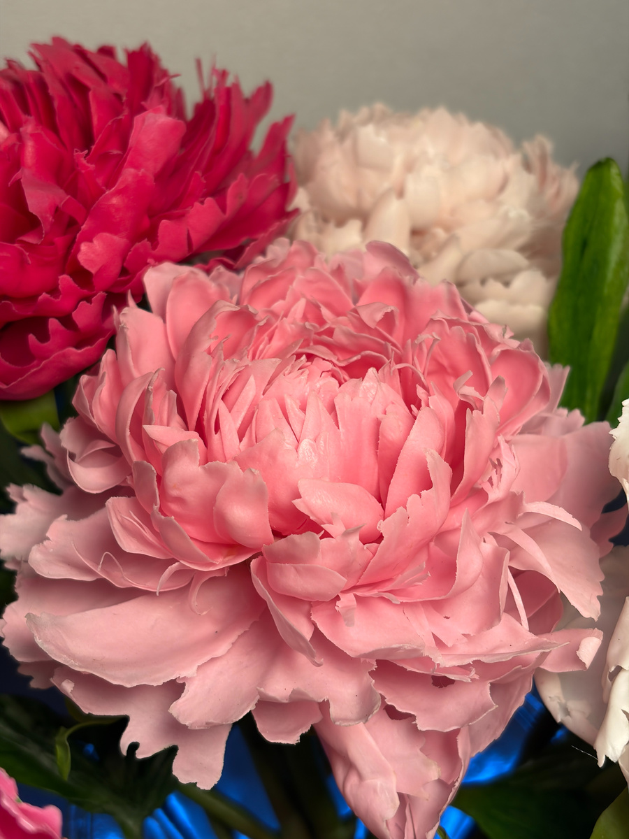 Нежный пион из холодного фарфора ручной работы — изящный декоративный цветок, выполненный в мягком розовом цвете. Лепестки изготовлены с тщательной детализацией, благодаря чему композиция выглядит реалистично и утончённо.