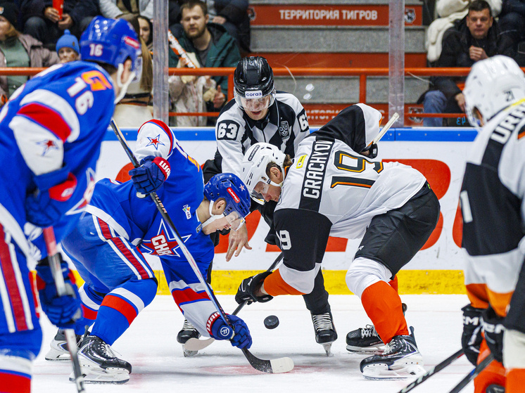     Отыгрались и дожали: «Амур» в Хабаровске все-таки одолел СКА. Фото: ХК "Амур"