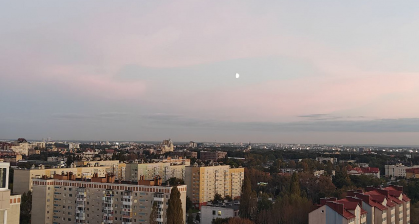    Фото: Первый городской канал Калининград