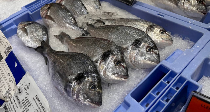    фото ПервыйГородской