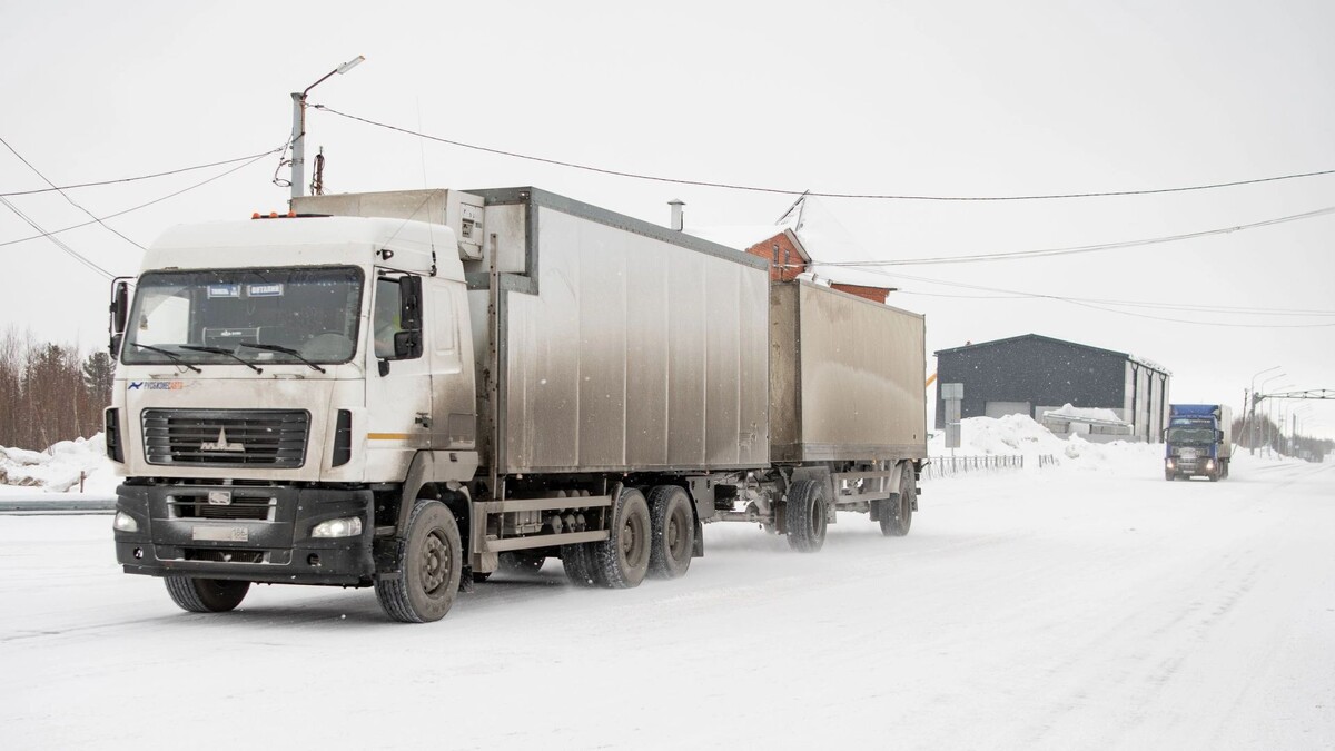    Фото: Юрий Здебский / «Ямал-Медиа»