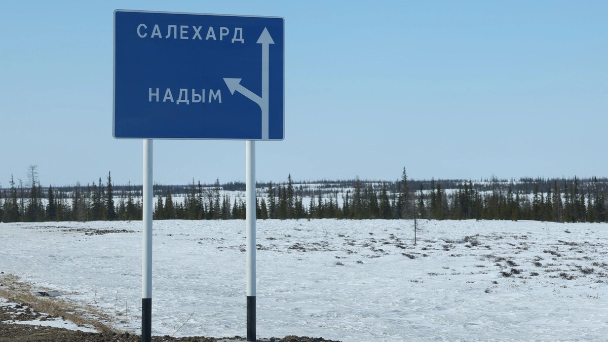    Фото: Андрей Ткачев / «Ямал-Медиа»