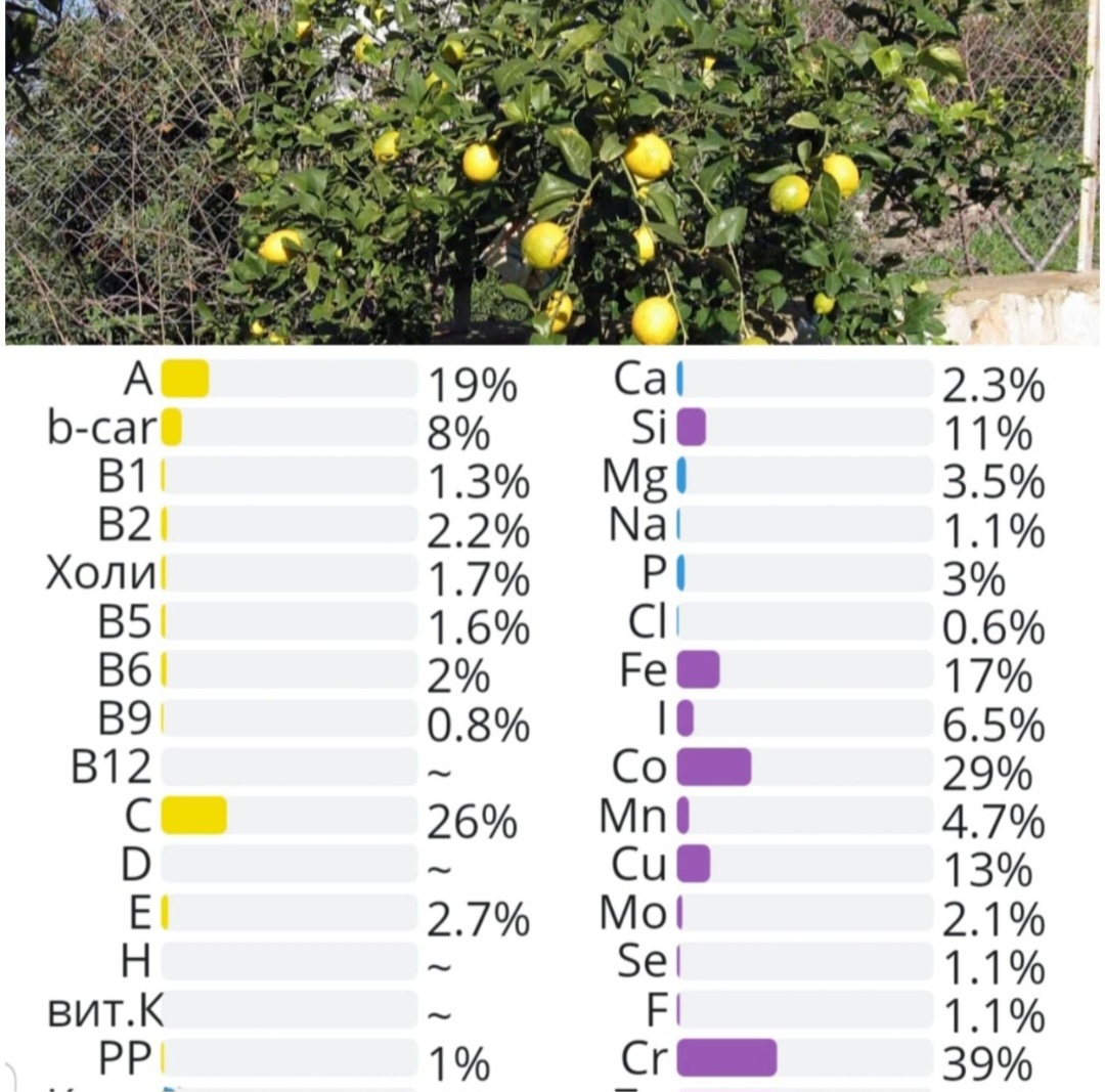 Фото из интернета.