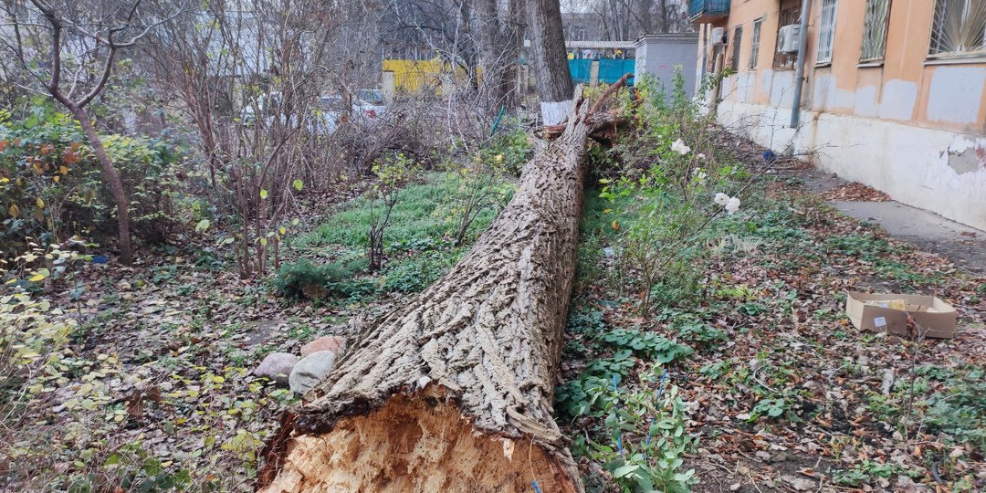 Жильцы выбегали из квартир – думали, что рушится многоэтажка в Ростове