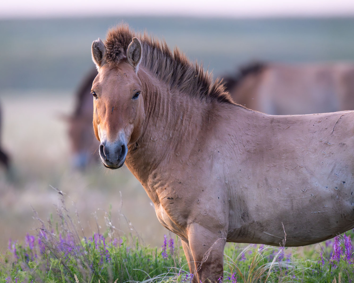 На страже порядка.