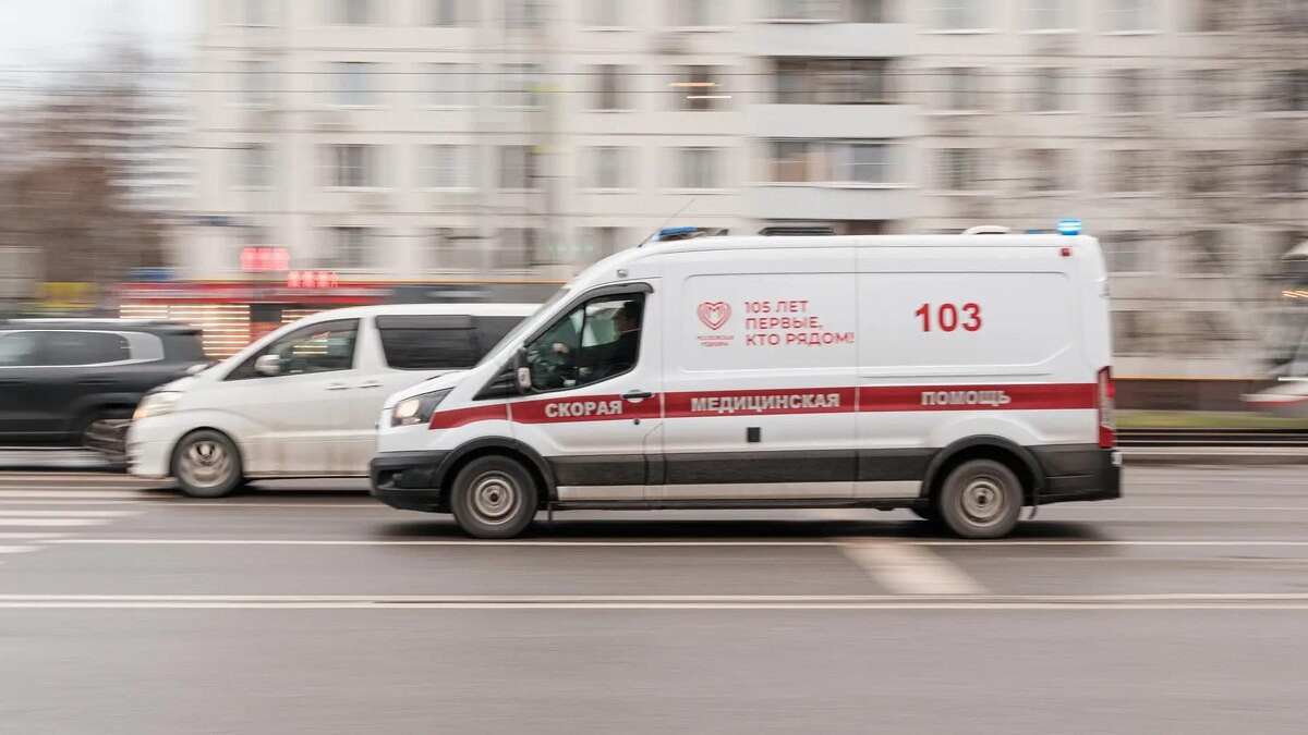    Фото: ИЗВЕСТИЯ/Сергей Виноградов