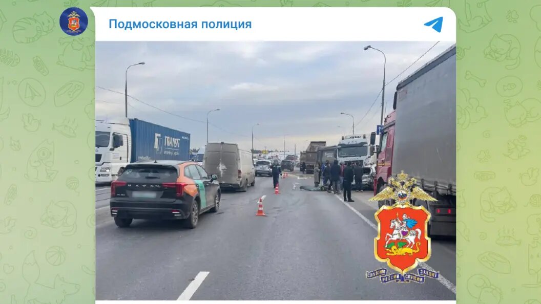    Telegram-канал подмосковной полиции