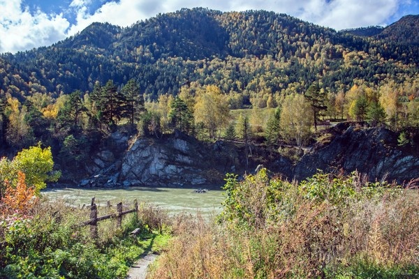 Это очень неплохо отдохнуть в последние тёплые дни осени в доме в очень 
обжитом и удобном для жизни селе, рядом с полноводной и быстрой рекой с 
древнейшей историей, и в окружении древних, поросших елью и соснами 
горами ...   ... С Воскресением Вас!   

Осень, Алтай, Катунь, Чемал ...   

  