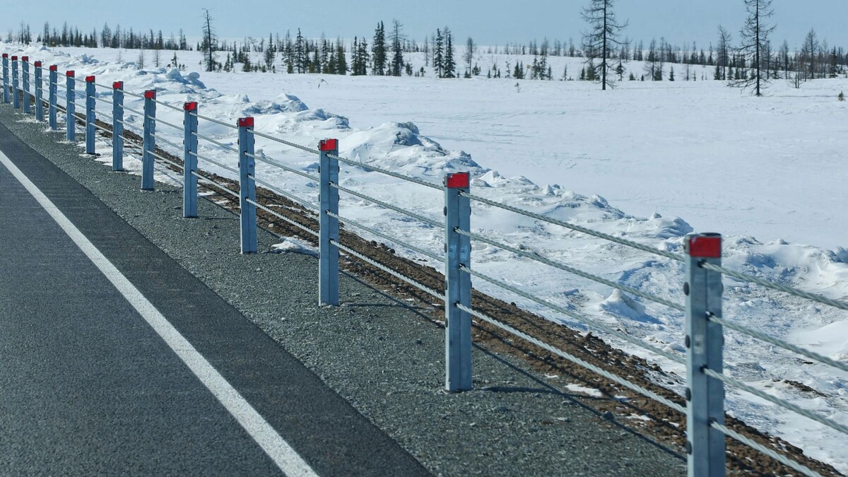    Фото: Андрей Ткачёв/«Ямал-Медиа»