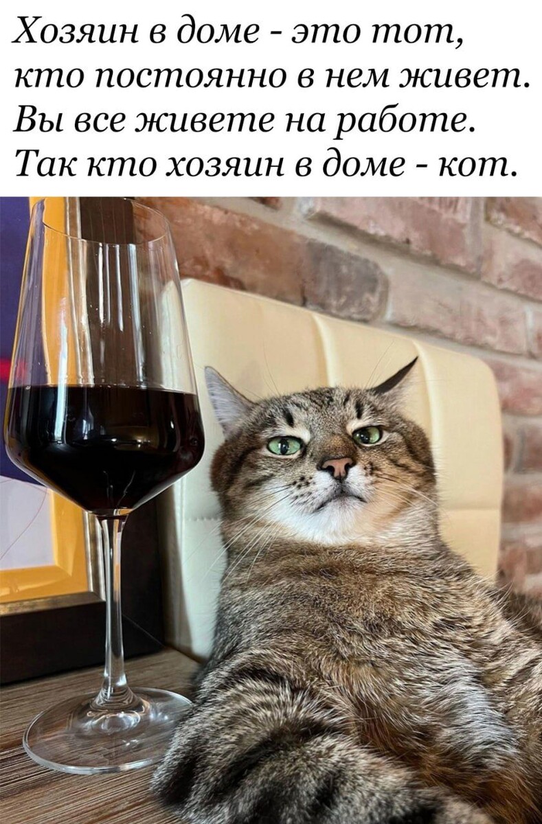 С нашим хозяином также!