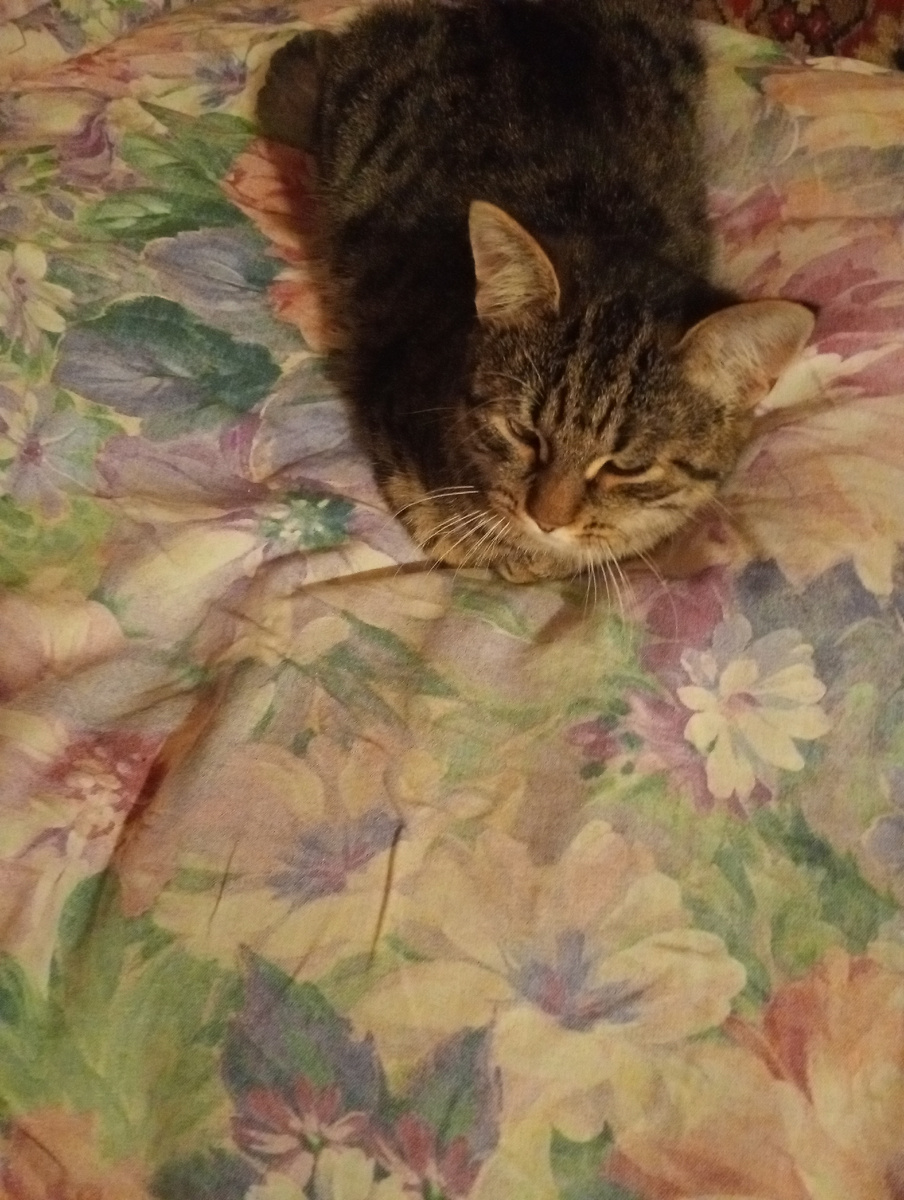 Один лежу, как барин!