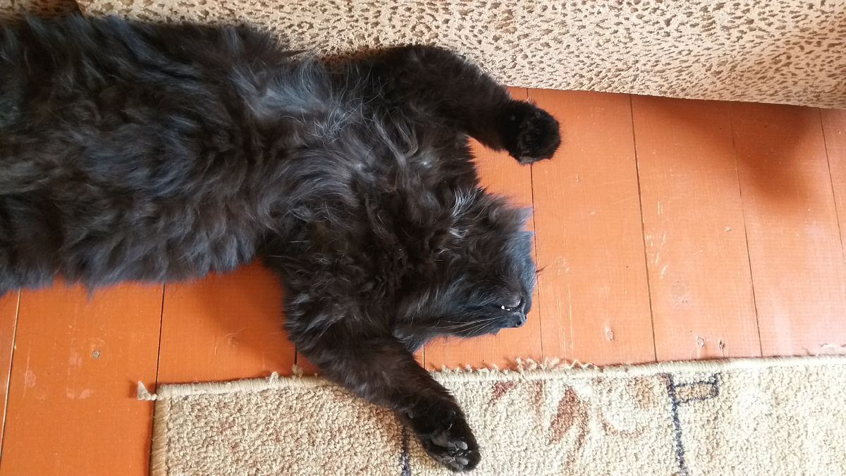 Перед болезнью