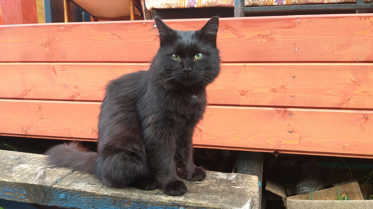 После болезней