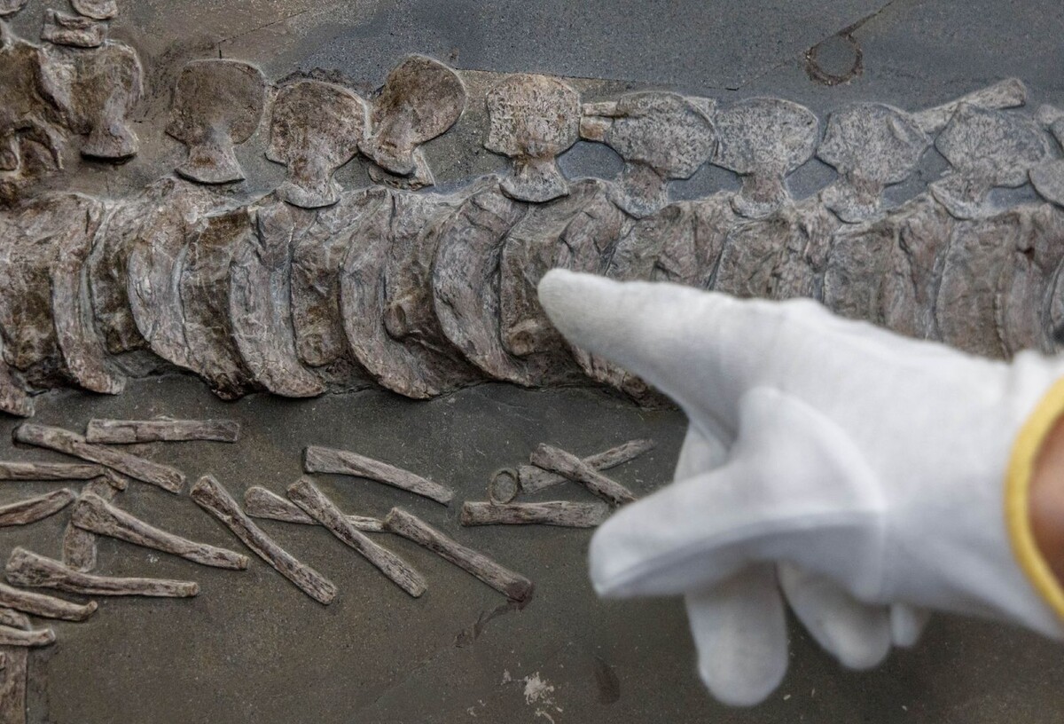     / Источник: © Global Look Press