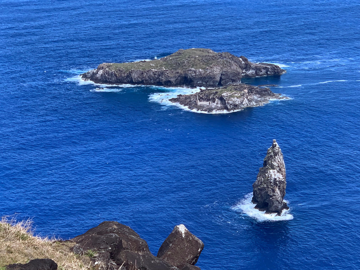 сентябрь 2025