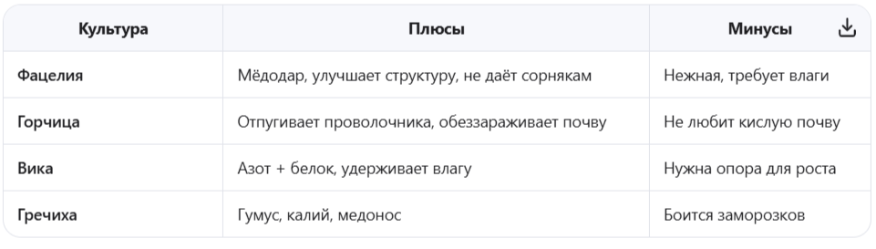 Лучшие сидераты для малины: