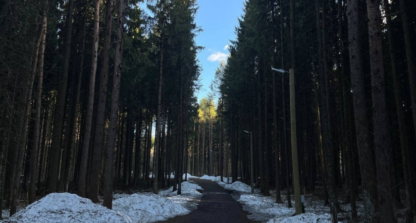    Фото редакции