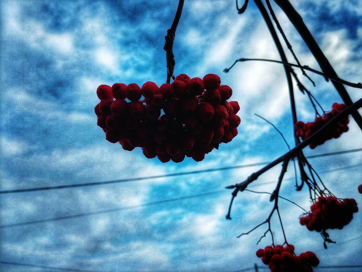 Моё фото в обработке