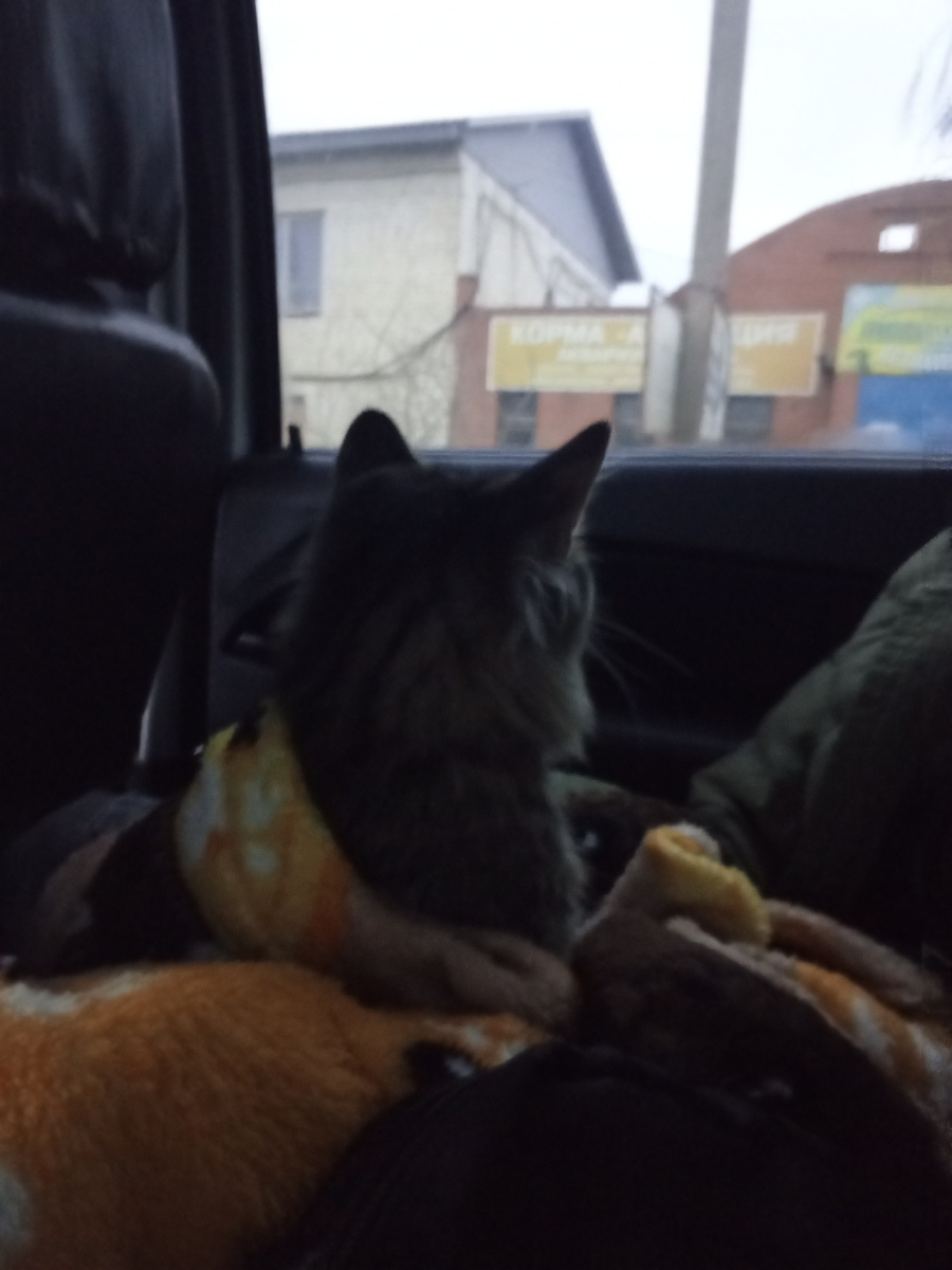 Ждём своего времени