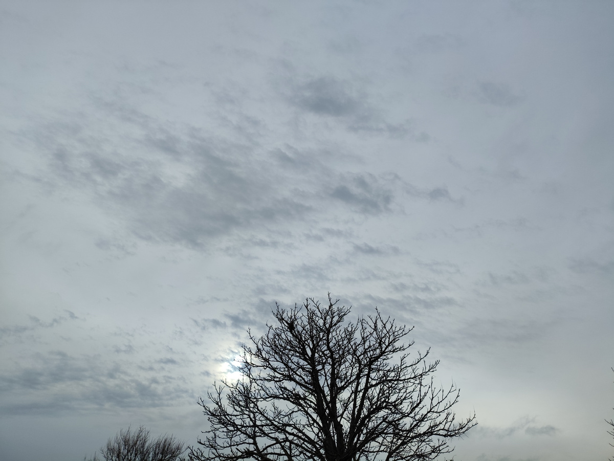 Вот такое сегодня солнышко было. Но не долго....